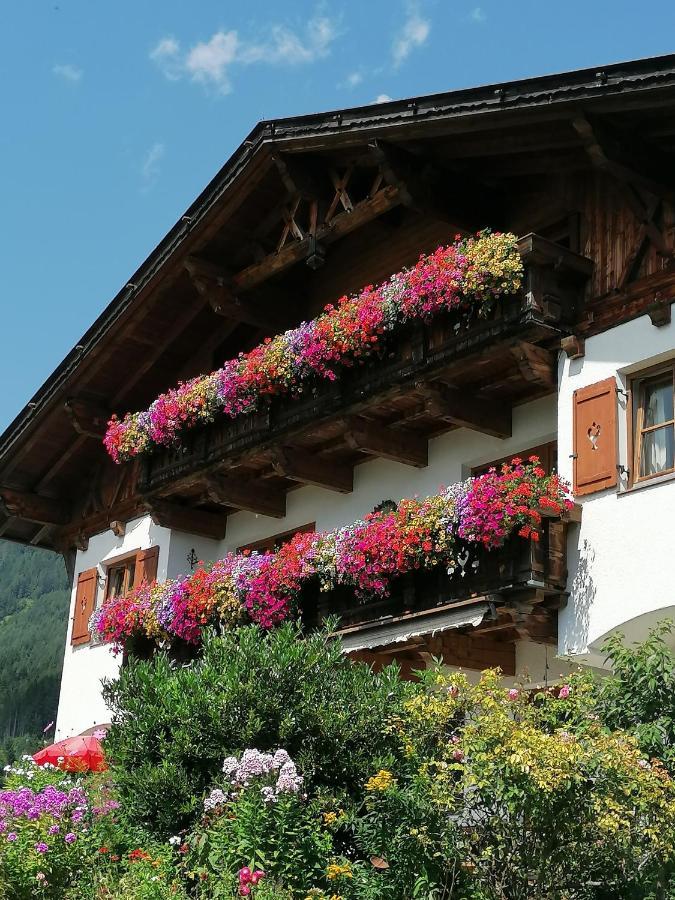 Schottenhof Fulpmes Extérieur photo